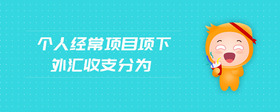 個人經常項目項下外匯收支分為