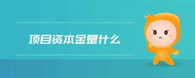 項目資本金是什么