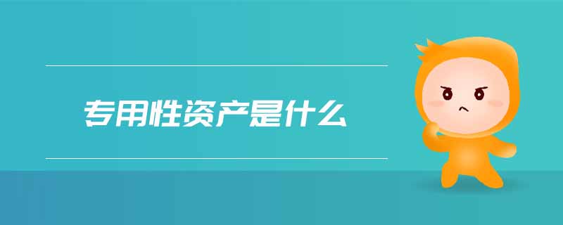 專用性資產(chǎn)是什么