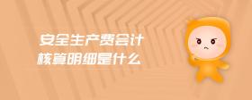 安全生產(chǎn)費會計核算明細是什么
