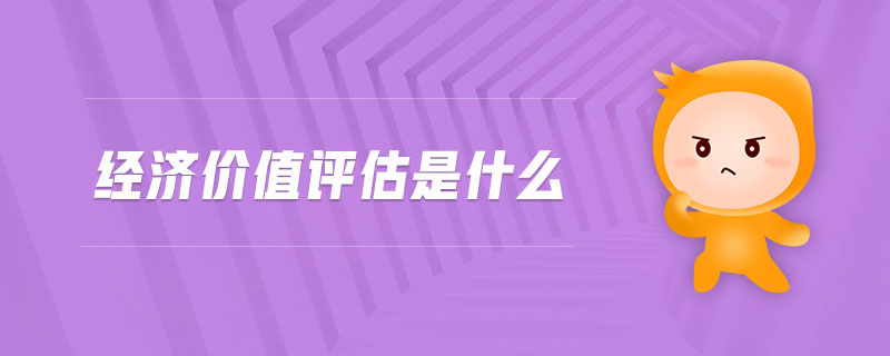 經(jīng)濟價值評估是什么