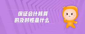 保證會計核算的及時性是什么
