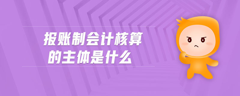 報(bào)賬制會計(jì)核算的主體是什么