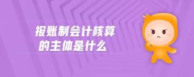 報賬制會計核算的主體是什么