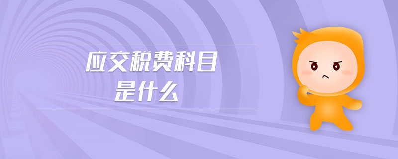 應(yīng)交稅費(fèi)科目是什么