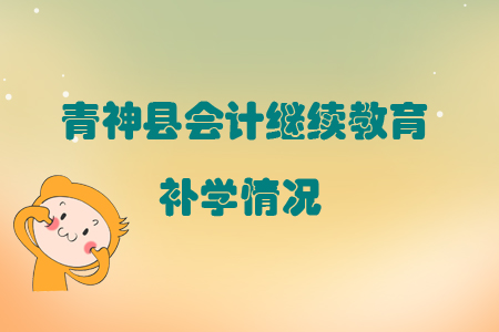 2019年四川省青神縣會計繼續(xù)教育補學(xué)情況