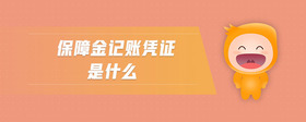 保障金記賬憑證是什么