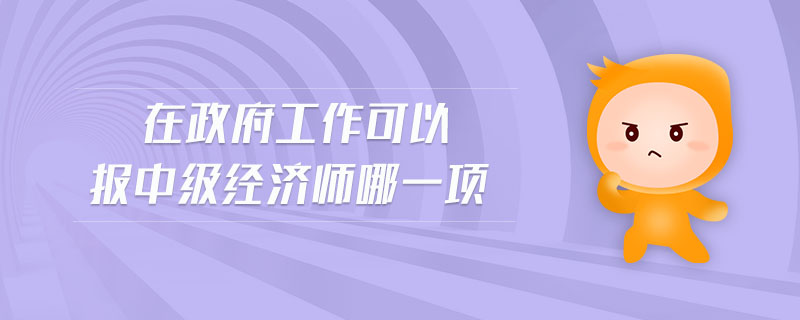 在政府工作可以報(bào)中級(jí)經(jīng)濟(jì)師哪一項(xiàng)