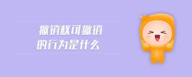 撤銷權(quán)可撤銷的行為是什么