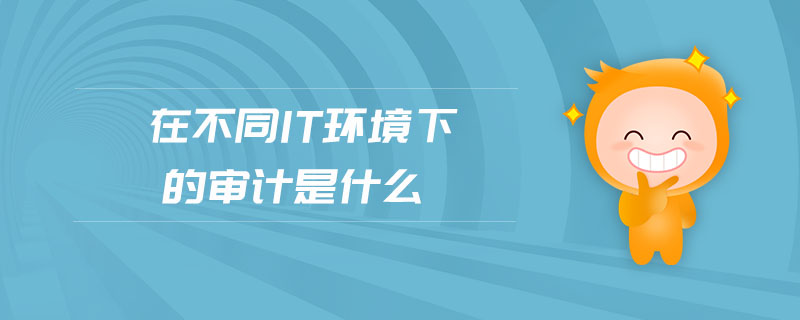 在不同IT環(huán)境下的審計(jì)是什么