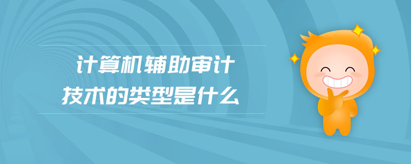計算機輔助審計技術(shù)的類型是什么