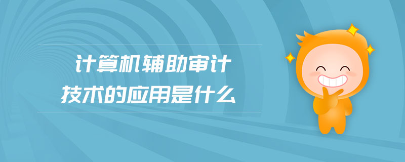 計算機輔助審計技術(shù)的應(yīng)用是什么