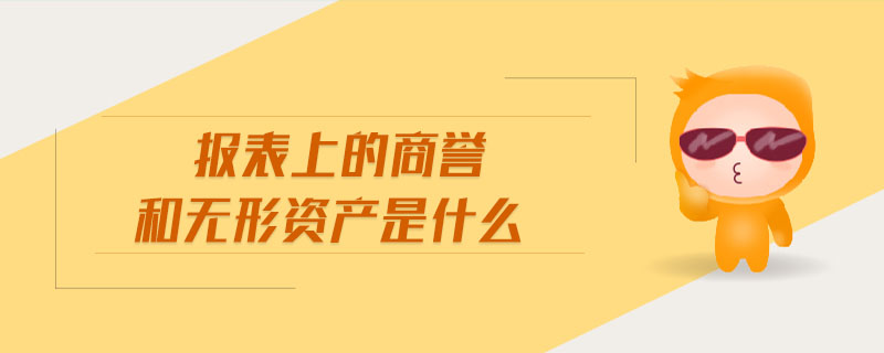 報(bào)表上的商譽(yù)和無(wú)形資產(chǎn)是什么