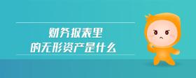 財務(wù)報表里的無形資產(chǎn)是什么