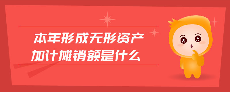 本年形成無形資產(chǎn)加計(jì)攤銷額是什么