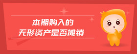 本期購入的無形資產(chǎn)是否攤銷