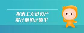 報(bào)表上無形資產(chǎn)累計(jì)攤銷記哪里