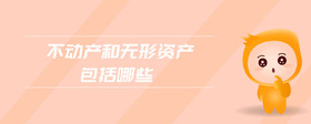 不動(dòng)產(chǎn)和無形資產(chǎn)包括哪些