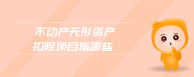 不動(dòng)產(chǎn)無形資產(chǎn)扣除項(xiàng)目指哪些