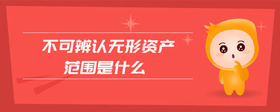 不可辨認(rèn)無形資產(chǎn)范圍是什么