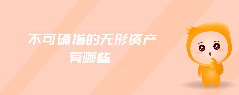 不可確指的無(wú)形資產(chǎn)有哪些