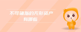 不可確指的無形資產(chǎn)有哪些