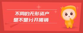 不同的無形資產是不是分開攤銷