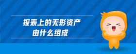 報表上的無形資產由什么組成