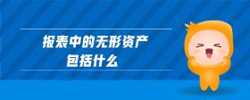 報表中的無形資產包括什么