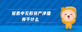 報表中無形資產凈值等于什么