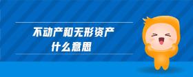 不動產和無形資產什么意思
