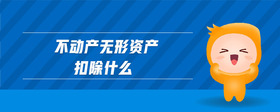 不動產無形資產扣除什么