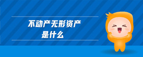 不動產無形資產是什么