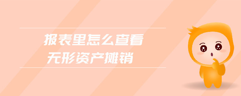 報表里怎么查看無形資產攤銷