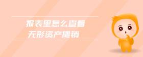 報表里怎么查看無形資產攤銷