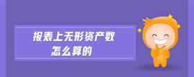 報表上無形資產數(shù)怎么算的
