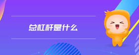 總杠桿是什么