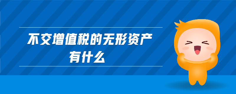 不交增值稅的無(wú)形資產(chǎn)有什么