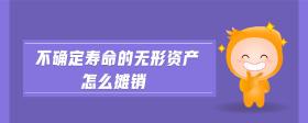 不確定壽命的無(wú)形資產(chǎn)怎么攤銷(xiāo)