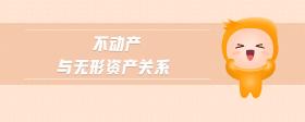 不動(dòng)產(chǎn)與無(wú)形資產(chǎn)關(guān)系