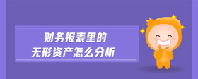 財(cái)務(wù)報(bào)表里的無(wú)形資產(chǎn)怎么分析