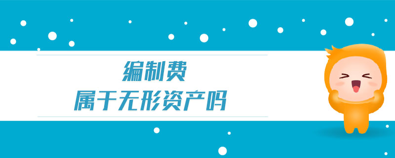 編制費(fèi)屬于無(wú)形資產(chǎn)嗎