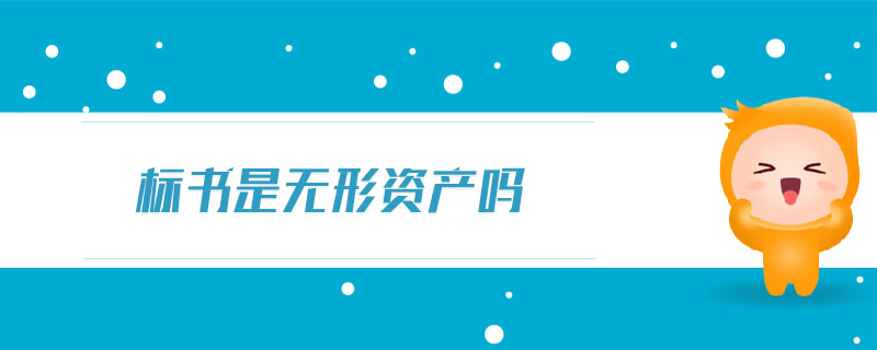 標(biāo)書是無形資產(chǎn)嗎
