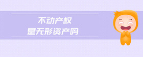 不動產(chǎn)權是無形資產(chǎn)嗎