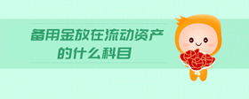 備用金放在流動(dòng)資產(chǎn)的什么科目