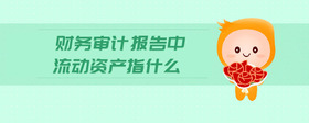 財(cái)務(wù)審計(jì)報(bào)告中流動(dòng)資產(chǎn)指什么