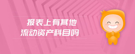 報(bào)表上有其他流動(dòng)資產(chǎn)科目嗎