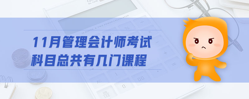11月管理會(huì)計(jì)師考試科目總共有幾門課程