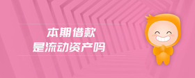 本期借款是流動資產嗎