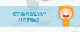 財(cái)務(wù)核算固定資產(chǎn)分類(lèi)的標(biāo)準(zhǔn)
